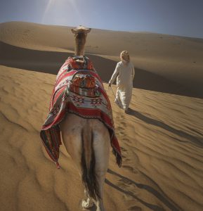 Rear view of bedouin leading camel in desert, Dubai, United Arab Emirates